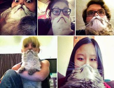  Cool story, bro. Now look at my Cat Beards.