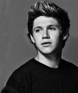  Of course, as a directioner, i love all the gyus for their special and different personalities, but i die to meet Niall Horan!!!! <333