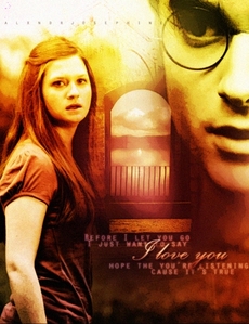 Harry all the way! But I heard a really gross Ginny ship: Ginny and Snape. Apparently he falls in love with her because she looks a lot like Lily! Uber yuckness! Hinny all the way!