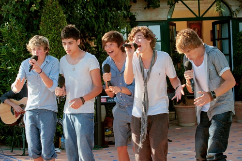 Their first song sung together was "Torn" by Natalie Imbruglia at the judge's house on the X Factor in 2010!! :)