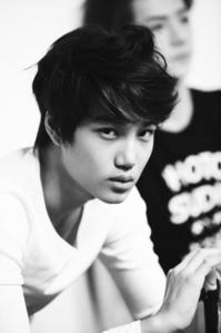  Don't really have a favourite member, but I'm attracted to Kai for some reason c: ♥