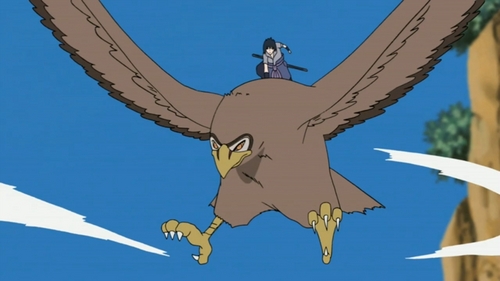 Sasuke Uchiha 
summoning Giant Hawk (Naruto Shippuden)