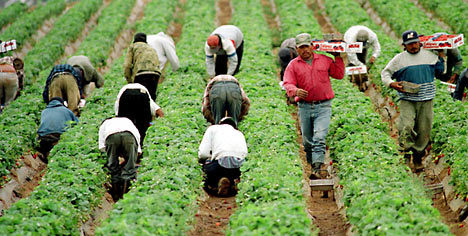  That Mexicans are [b]Lazy[/b] [i]Many Mexicans work in fields,construction and much more. In the fields they only get paid like $8 au less and they been in the sun all day, and are cover in sweat and dirt. How is that Lazy? Also many Americans call mexicans lazy but they are also saying that are stealing jobs. How could someone "lazy" steal jobs?[/i] [u]I am a Mexican and I get really get piss off when people say that Mexicans are lazy. To those who do say that I say that wewe are not Mexican and wewe do not know all Mexicans so wewe don't know if we are lazy au not[/u] [b]But for wewe to know we are not[/b]