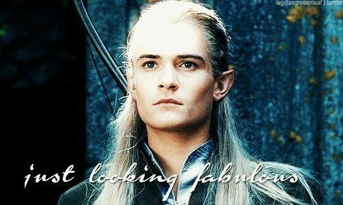  I amor Legolas! :D He is hot, handsome, skilled fighter, cute, prince, an elf (amazingly gorgeous looks, sophisticated, immortal, good senses, can take a lot of alcohol (xD) etc). He's just perfect... How can one not adore him? <3 And Orlando of course ;) I might even say he is fabulous.