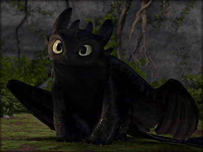  Toothless because he is the fastest dragon, the smartest and he seems to be the leader cause in the series he seems to tell them what to do. And plus he is the cutest!