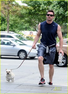  Hugh Jackman walking his dog:)