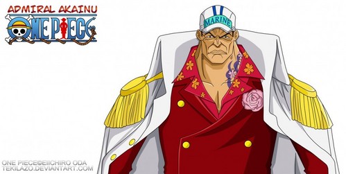  Akainu (One Piece)