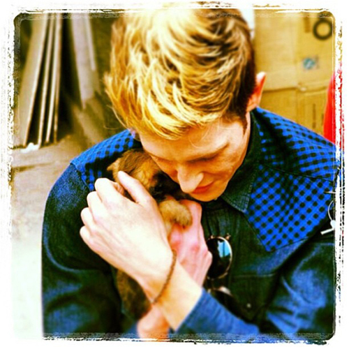 hair, clothes and puppy <3
