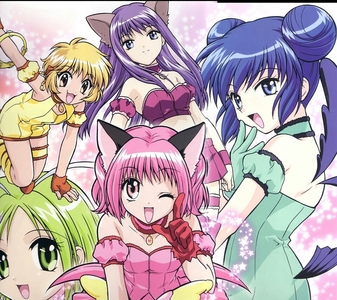  Well all my お気に入り characters were already posted, so I guess I'll have to choose the girls from tokyo mew mew and from mermaid melody!!!!!