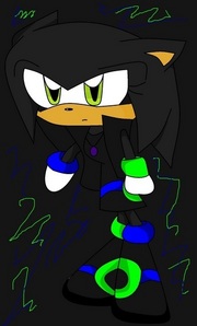  Name: midnight Height:80 Blood:positive B Species:hedgehog Genetic defects:none Genetic perks: (new) has dark magic from 项链 Eye color:green Retrievable background:parents died at age 3 and forced to live on streets