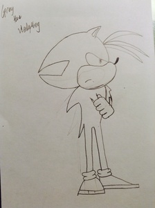  Competitor: Grey the Hedgehog Age: 14 Abnormalities: Abnormally never smiled O_O Skills: Dark Psychokinetic ability caused him to control any elements in dark form. Plus acrobatic skills too. And can hang off walls on foot with dark energy. Abilities: Dark elements (too lazy to type it), Dark surge, dark cloning technique,dark shield, dark blade, dark weapons (bla bla bla) dark arts, translucent (turns all black and becomes like a visible spirit), martial arts, sealing technique and healing technique. Lethalities: yes (very) Endurance Level: 18 Strength Level: 17 Reason for entering: has nothing else to do Summary of biography: >born in a harsh situation >parents died when 2 >found sa pamamagitan ng the A.P.A. team 4 years later >joined A.P.A. >escaped planet because of black hole with 14 others Apearance: looks like Joey the hedgehog, except he has chest balahibo (no bald chest), and bottom spine is curved up, unlike Joey's; his is curved downwards. And color of balahibo is way darker than Joey's but the same color.