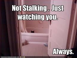  AH! Is there no privacy in this world. First I get someone look through the small window in the bathroom and now this. Stalkers! I'm Scared!