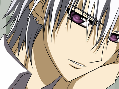  Zero's eyes (Vampire Knight).
