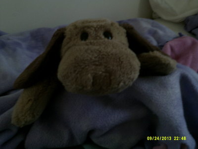  i am 15 and i have a moving box fully of stuffed binatang but i have this dog i had sense i was 1 years old and ya i sleep with it, it has no nose cause when i was 8 i accidentally left it at a friends house and there dog got it i was devastated but i got over it.
