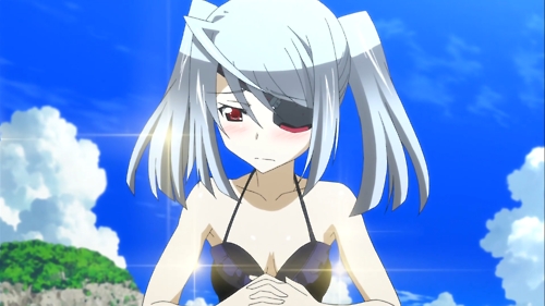  Laura Bodewig from Infinite Stratos.