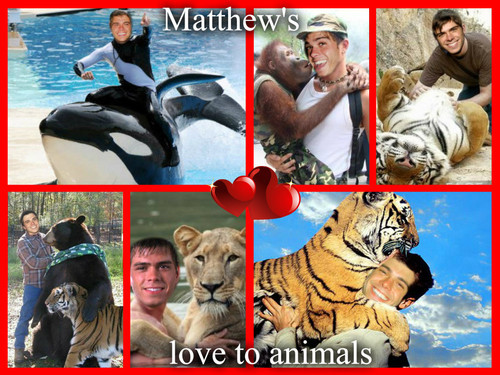  Matthew with several wild animais <3333333