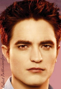  Edward's perfect,sexy hair<3
