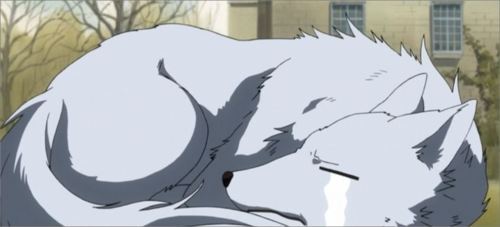 My fave anime animal is Pluto from Black Butler