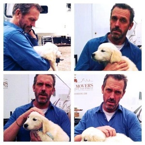  Hugh Laurie holding a anjing, anak anjing <3