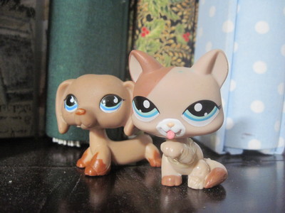 These are my two favorite LPS toys, Sierra (The Cat), and Bronze (The Dog)