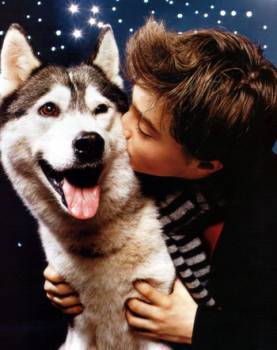  Daniel Radcliffe Ciuman his pet dog