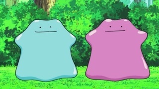 Yes I do. I like Ditto quite much too