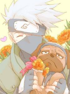  My 最喜爱的 日本动漫 is Naruto/Shippuden. My 最喜爱的 character is 卡卡西 Hatake! I find him adorable and amazing. C: My 最喜爱的 cartoon is Kirby: Right Back at Ya! Kirby is my 最喜爱的 character. He's very cute!