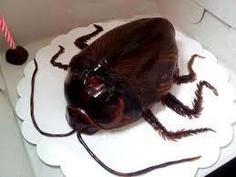  Would আপনি eat this cake?