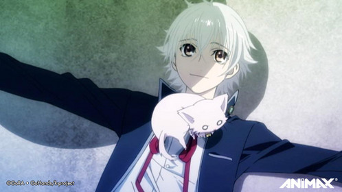  shiro has a cat (that cat changes into a human!! ) from k project