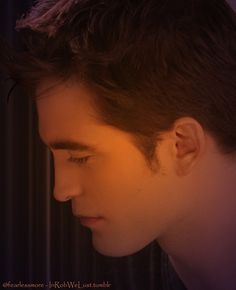  some people say Edward is abusive and controlling and stalkerish,but I STRONGLY DISAGREE!!!!<3