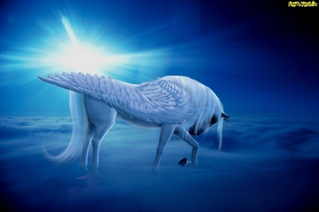 Here's a Pegasus with angel wings, kneeling in the sky!