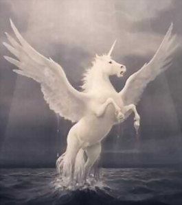  Immortal winged horse of Bellerophon