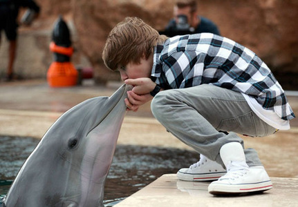  Justin giving a 키스 to a bottle nose dolphin(one of my fave animals)<3