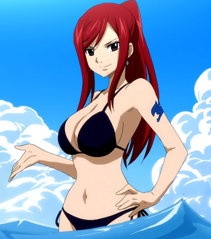  Okie, Erza from Fairy Tail