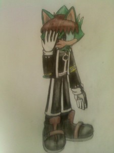  (woowwww......this is too good to pass up! XD) Name: Splice Tansec Age: 18 Species: Kayverian (Species I made up. thought He'd be good here since his species doesn't need to breath oxygen, so the gas mask isn't necessary for him) Powers/Abilities: originate from the crescent moon. they have a sort of "mystical fire" effect. Personality: Can come off as mysterious, but he has a humorous side too. he's strong both in will and physique. his voice is somewhat crossed between Silver the hedgehog and Shadow (if anda can imagine what that might sound like XD) Splice: *sneaks around* I can't believe I got thrown through time like this...chances of finding Rachel here are REALLY slim, but I can't rule anything out.... (srry, this part in his story i thought would be the only way to make sense as to why he'd be so far out of his own time zone. :-P) (and sorry about the horrible pic quality. recently gave him a new outfit and this was all i had.)