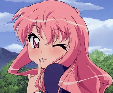 Louise is 16 at the beginning of the series and 17 at the end.
( Zero no Tsukaima )