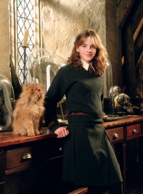 Hermione has a ginger cat called Crookshanks, which was introduced in the third book (Prisoner of Azkaban). If you recognise the movies better than the books, here is a picture of Crookshanks from the films :)