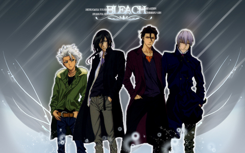  Uh . . . I think men and women can both be seen as beautiful. Here are some of the Bleach men.