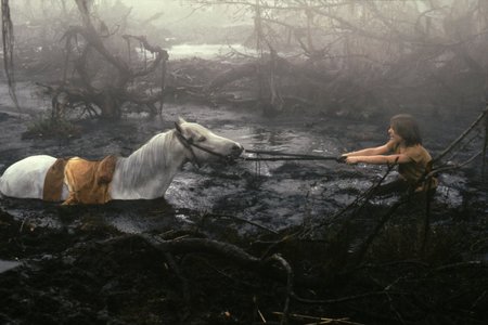 That one part of Never Ending Story where the horse gets stuck in the Swamp of Sadness and the boy tries to save him but he can't and the horse dies.