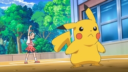 This has been proved time and time again in the anime such as in the episode "Where No Togepi has Gone Before" and "Snivy Plays Hard to Catch" when he got infatuated by a wild Togepi's and Ash's Snivy's Attracts respectively, and both those Pokemon were female. Also, if you go on Bulbapeida and go to the page about Ash's Pikachu it will say Gender: Male. Here's a picture of what a female Pikachu looks like. This is a picture from SS027 of Ayumi and her Pikachu. There used to be a video of this episode on YouTube with English subtitles, unfortunately the video got taken down because the account of the person who made the video is no longer active.