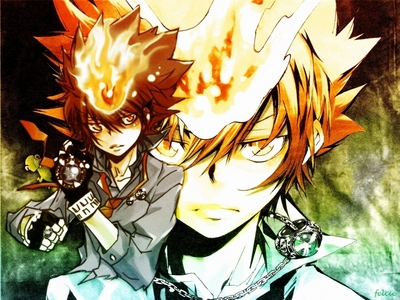  Tsunayoshi Sawada - doesn't seen to be as लोकप्रिय as the rest of the KHR characters, not saying he doesn't have his followers, but compared to the others guys....