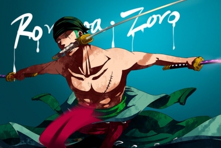  Roronoa Zoro (One Piece)