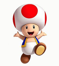  Toad.