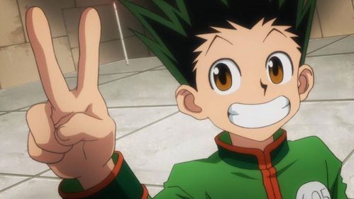  Gon Freecs from HxH!