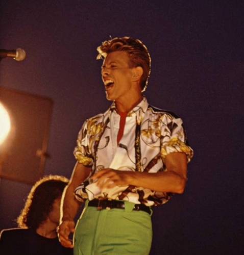  Bowie <3333333