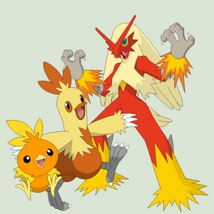 I would be a female Torchic That evolved into a Combusken That would soon  evolve into a Blaziken