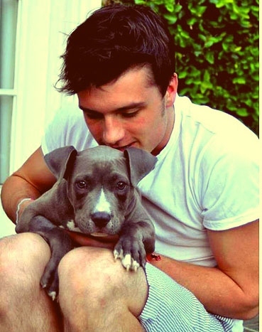 Josh looking at his blue nose pit bull puppy...awwww<3