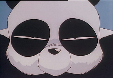  Ranma's dad who turns into a panda (from Ranma 1/2)