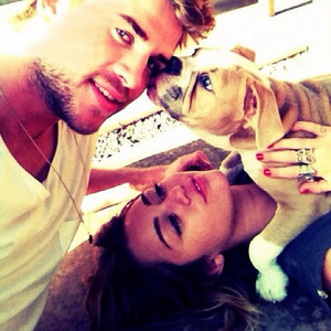  Liam with his and Miley's dog<3