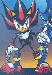  Sometime,I think Shadow is a cat and no a hedgehog...